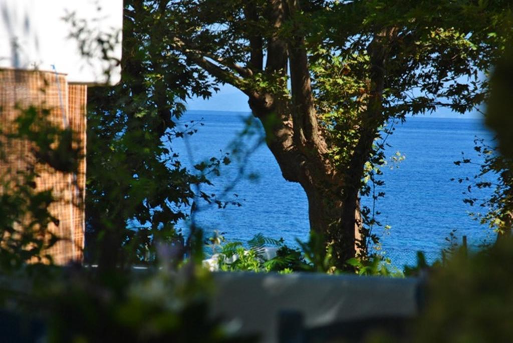 Archondissa Beach Aparthotel Therma  Exteriér fotografie